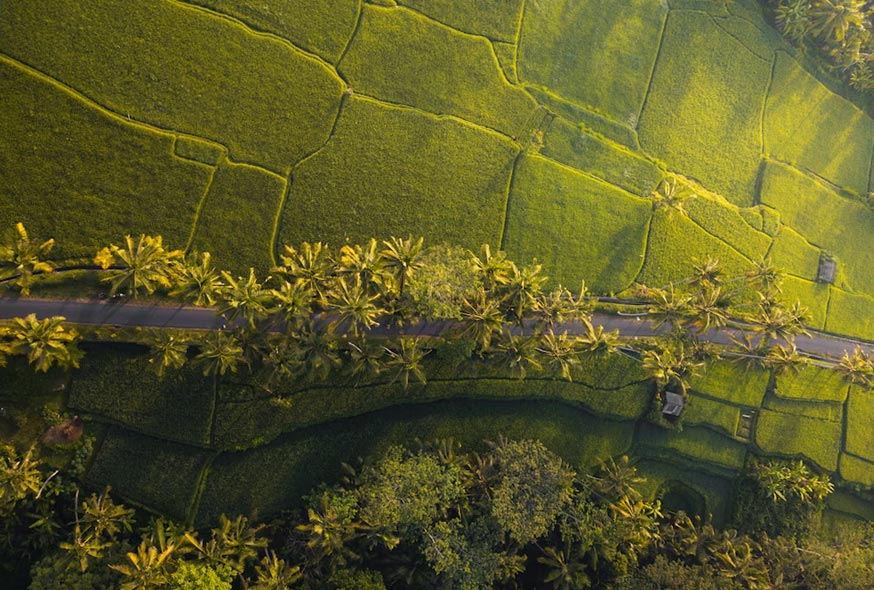 allied activities loan