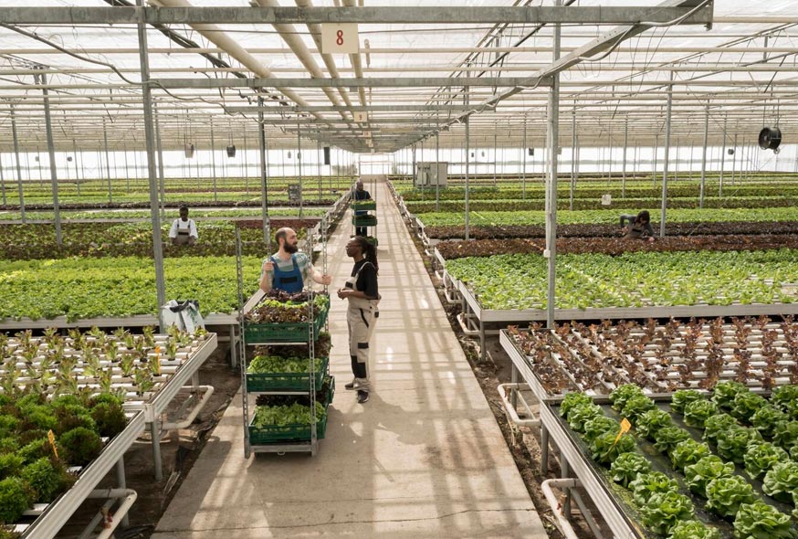 agricultural infrastructure loan